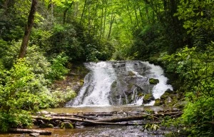 Spring waterfall scene near our condos for rent in Pigeon Forge Tennessee.