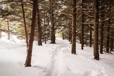 Winter hiking trail in the mountains