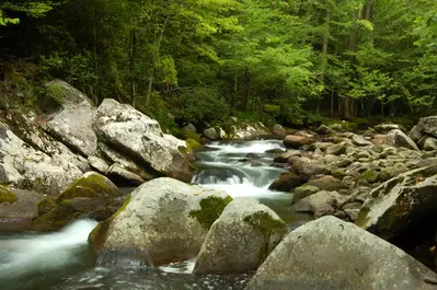 Stream in the Smoky Mountains National Park
